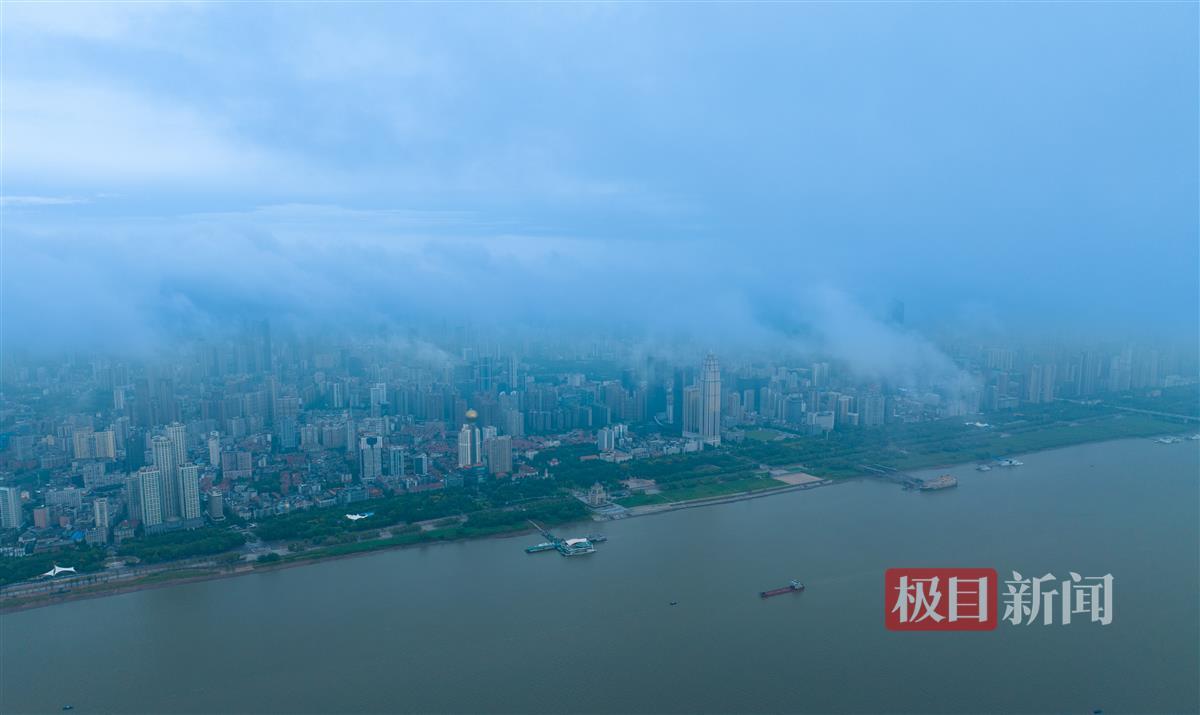 金猴爷老虎机在哪下分
